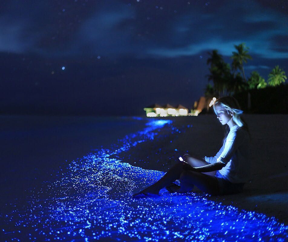 Bioluminescent-plankton-in-the-lagoon-under-a-starry-night-sky