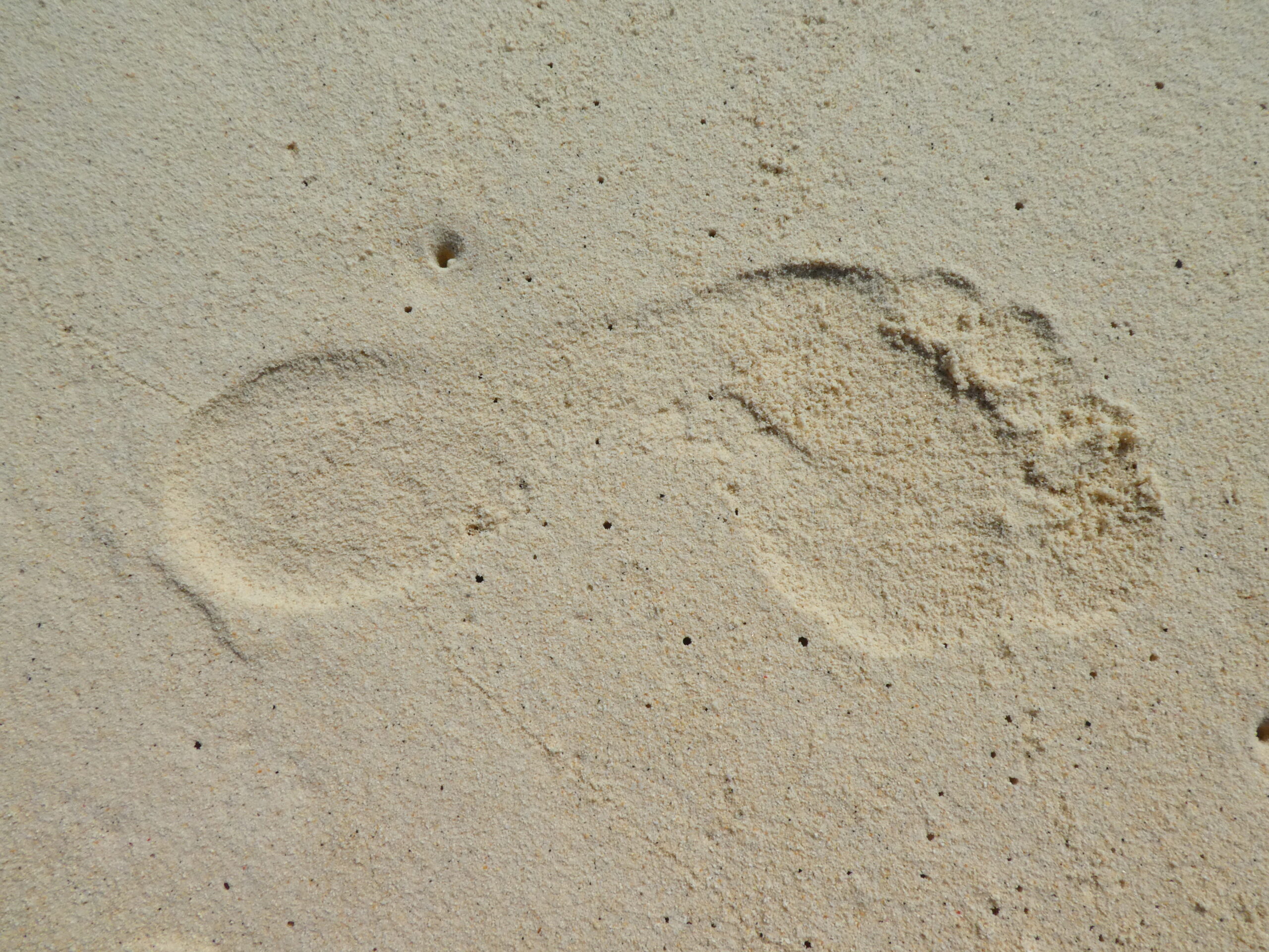 A-footprint-left-on-the-beach
