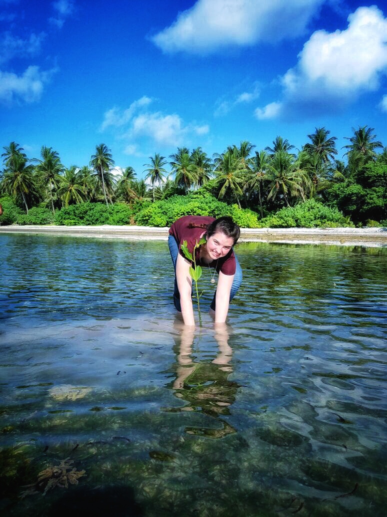 Planting-Mangrove-tree