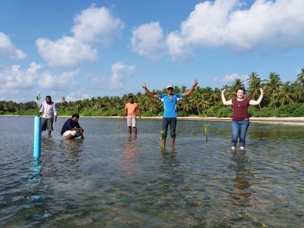 Exploring-Mangroves-local-islands