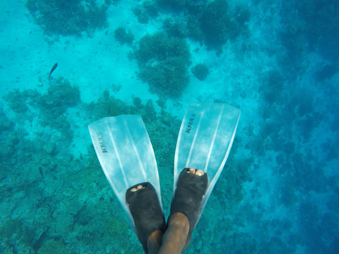 A-picture-of-snorkelling-fins