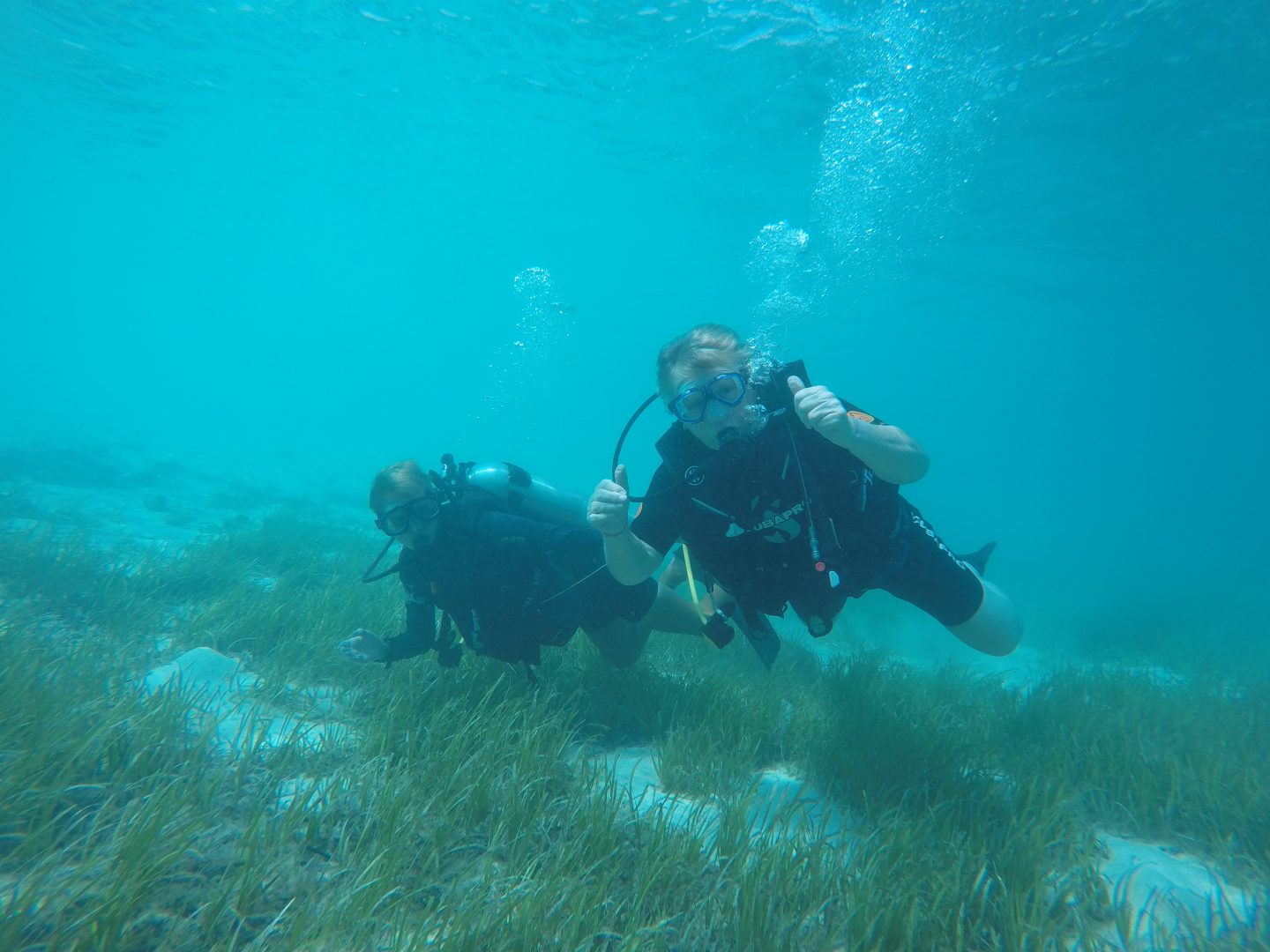 Guests-snorkelling-on-top-of-sea-grass-beds-in-maldivesz