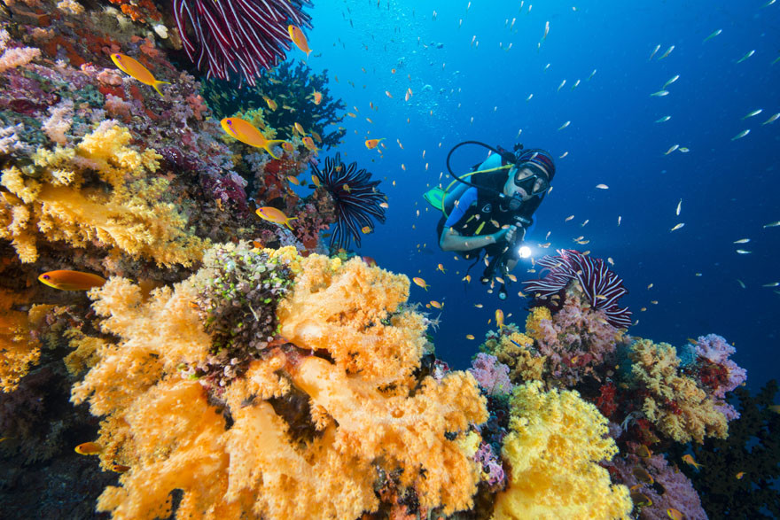 Guest-explores-the-Maldives-underwater-reefs
