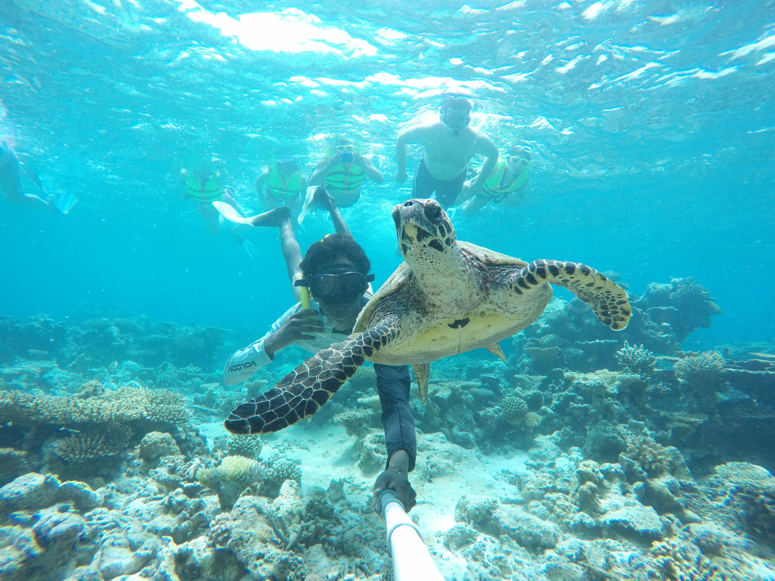 Secret-Paradise-Guide-Take-Selfie-with-a-Sea-turtle-and-guests
